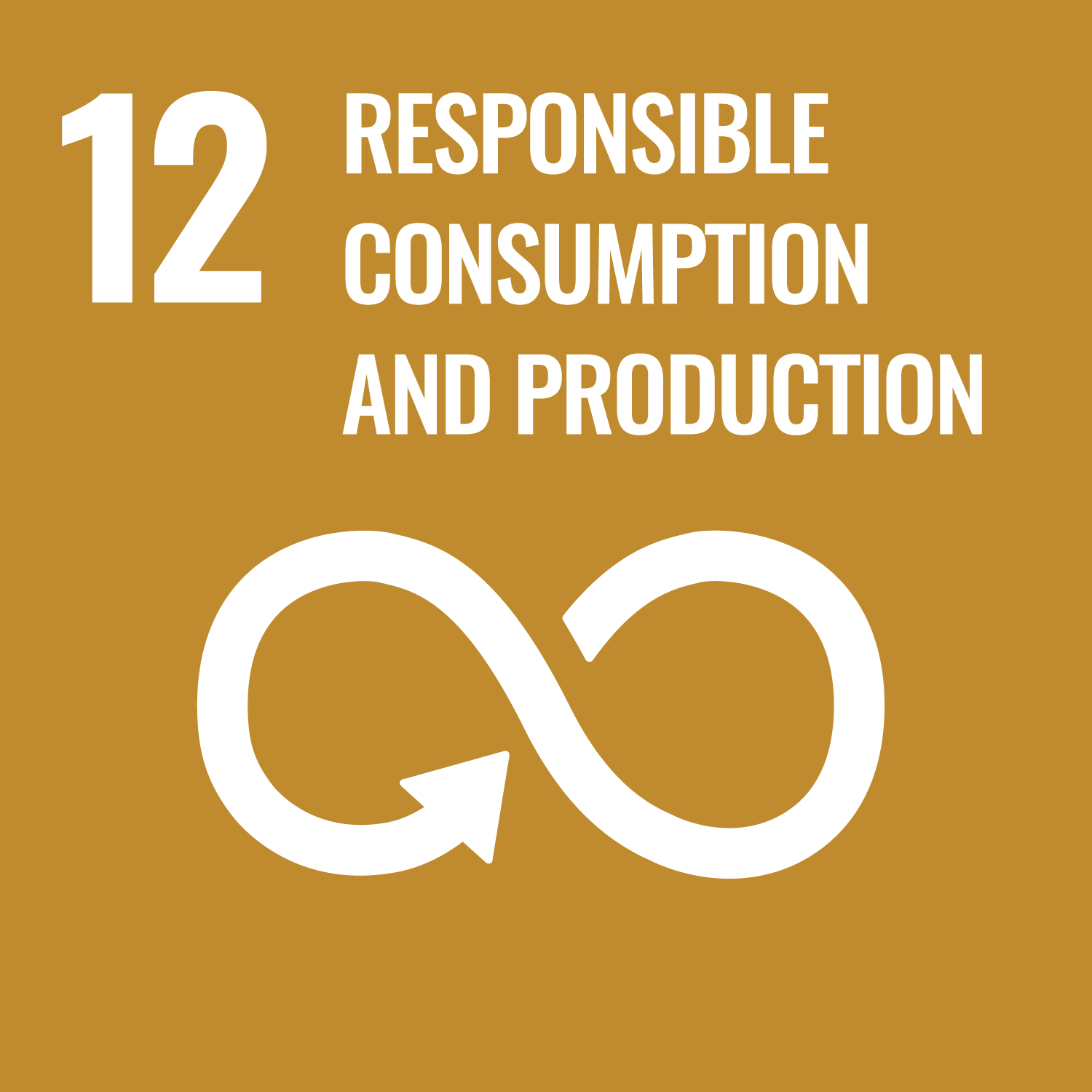 United Nation Sustainable Development Goal number 12, Responsible Consumption and Production