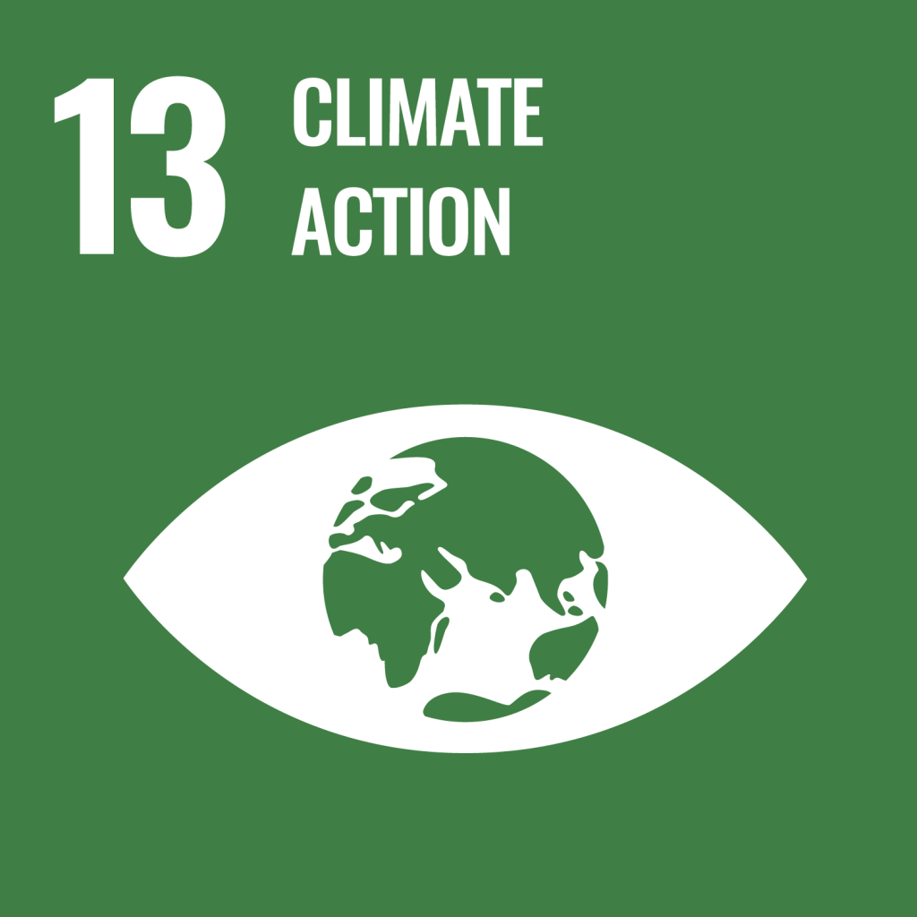 United Nations Sustainable Development Goal 13: Climate Action logo. Eye with pupil decorated as Earth.