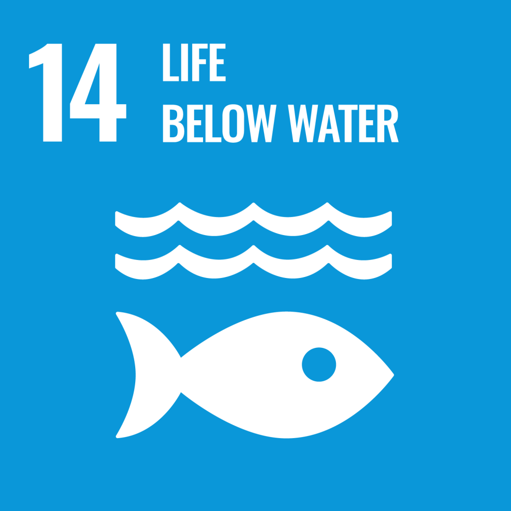 United Nations Sustainable Development Goal number 14, life below water