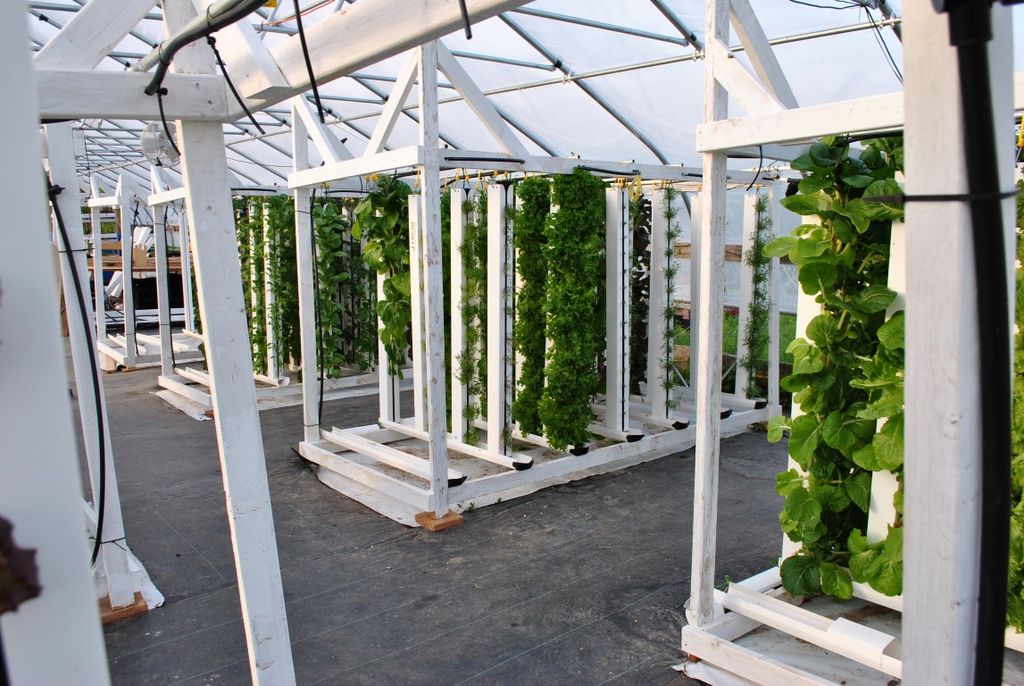 vertical plants and hydroponic shelves