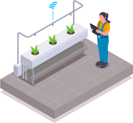 A worker inspecting plants grown in a hydroponic system with a tablet, monitoring for pests and administering controlled pesticide application.