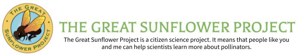 Logo of "The Great Sunflower Project" text around a circle with a illustration of a bee inside. Text on the right in uppercase heading reads The Great Sunflower Project. Body text below reads: The Great Sunflower Project is a citizen science project. It means that people like you and me can help scientists learn more about pollinators.