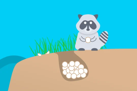 A cartoon of a racoon holding a sea turtle egg from a nest on the beach.