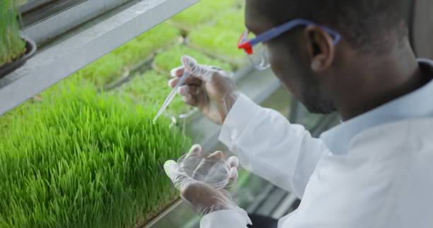 An overhead view of a man holding a clipboard adding an eye dropper to plants