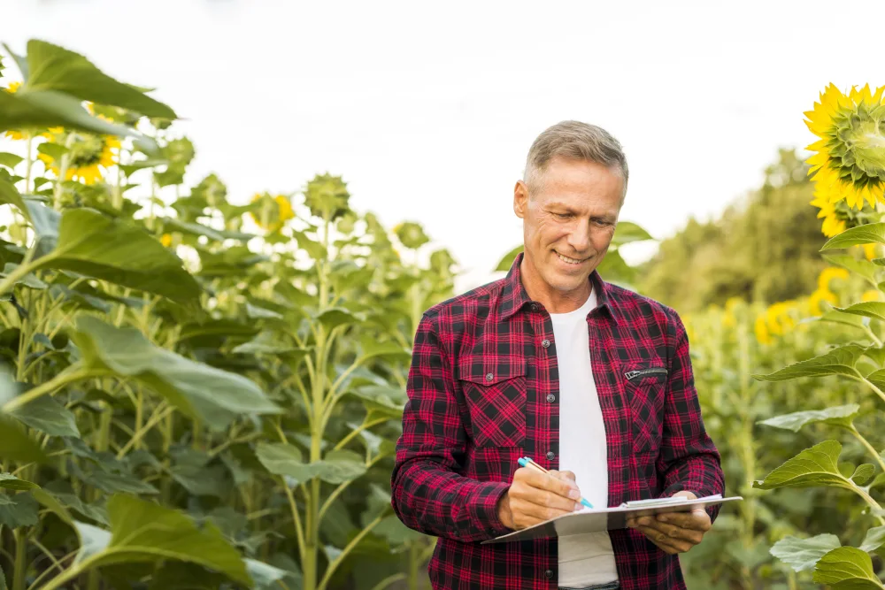 Man taking notes in a sunflower field.