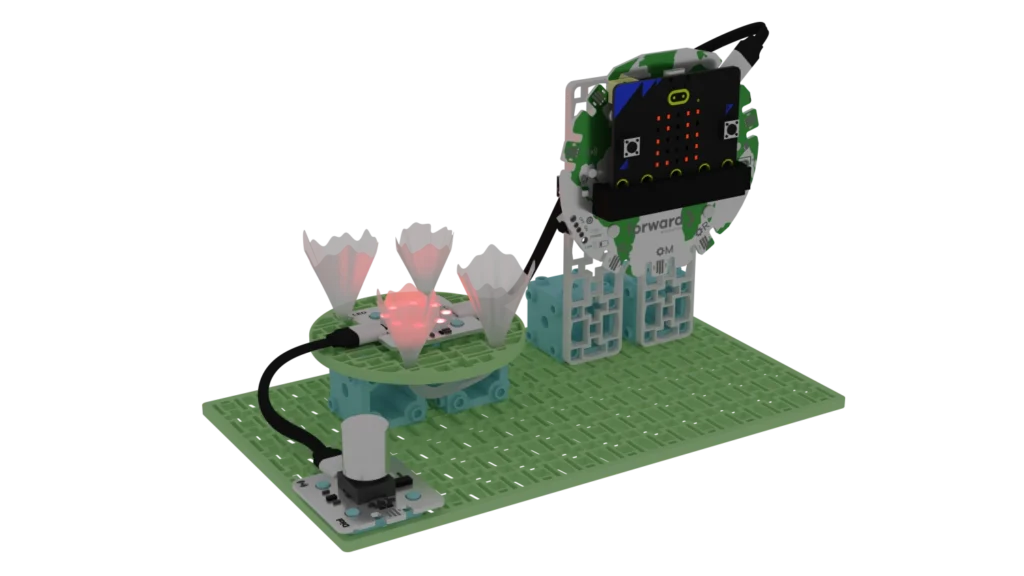 Forward Education's final coral reef model as a 3D model.