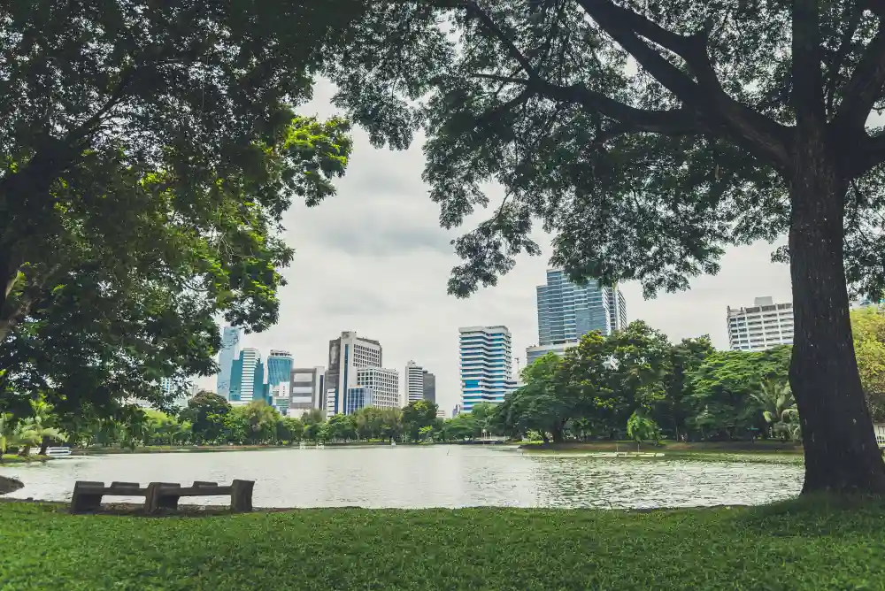 A small park lake is surrounded by trees with a cityscape rising above the trees, just beyond the lake.