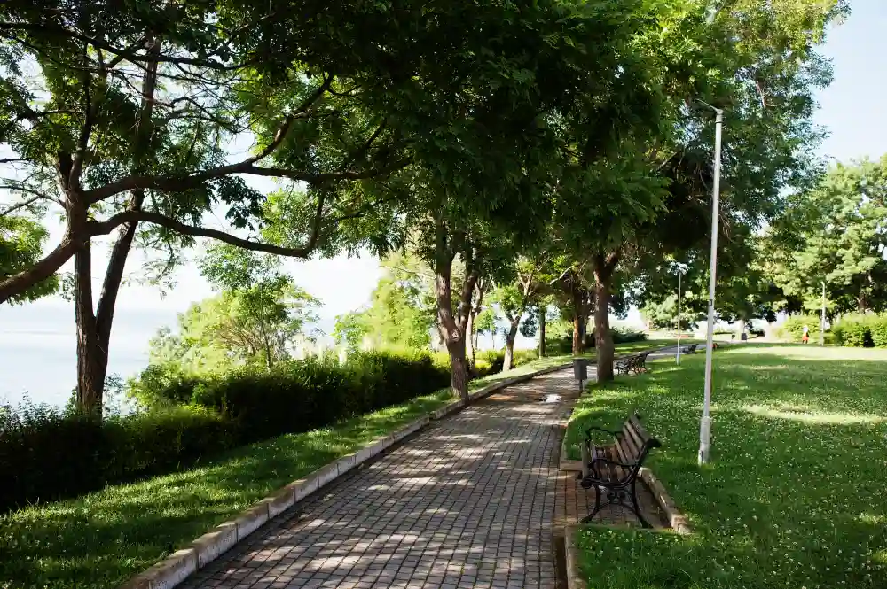 A tree-lined pathway curves to the right. Benches intermittently line the right side and the hill side drops down on the left of the path.