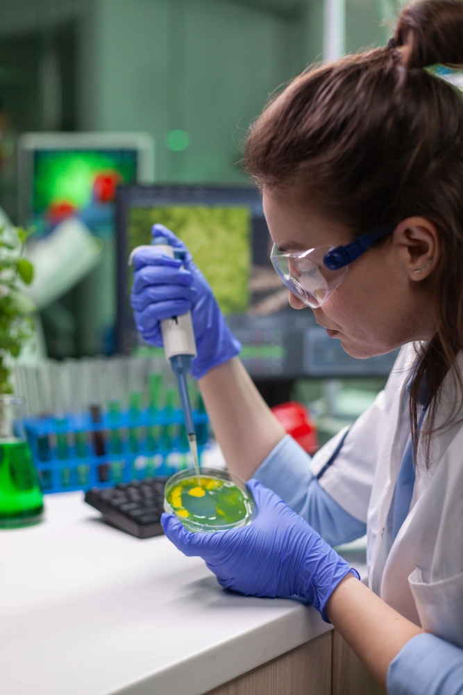 A chemist is using an electric pipette on a petri dish with various colours and growths.