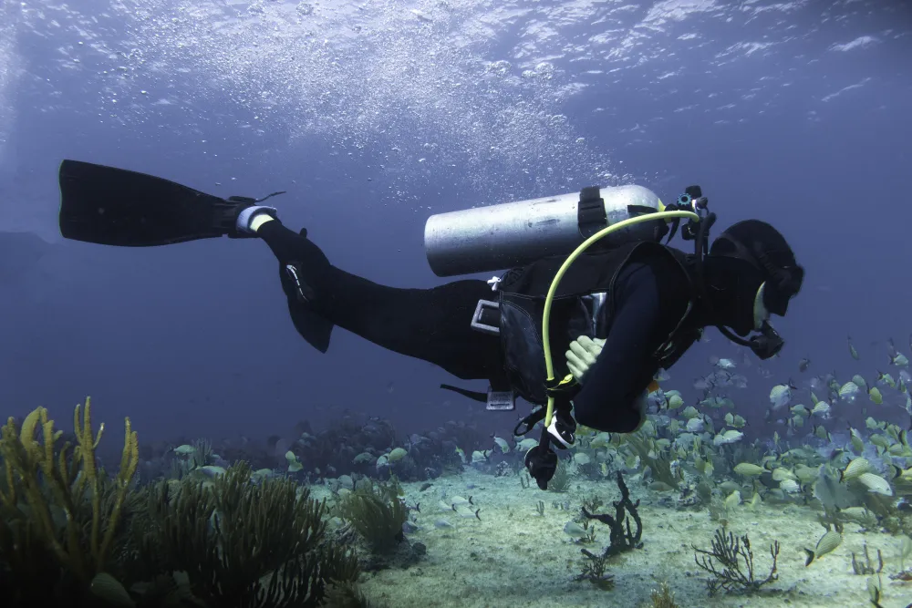 Marine biologist underwater swimming around a large school of fish.