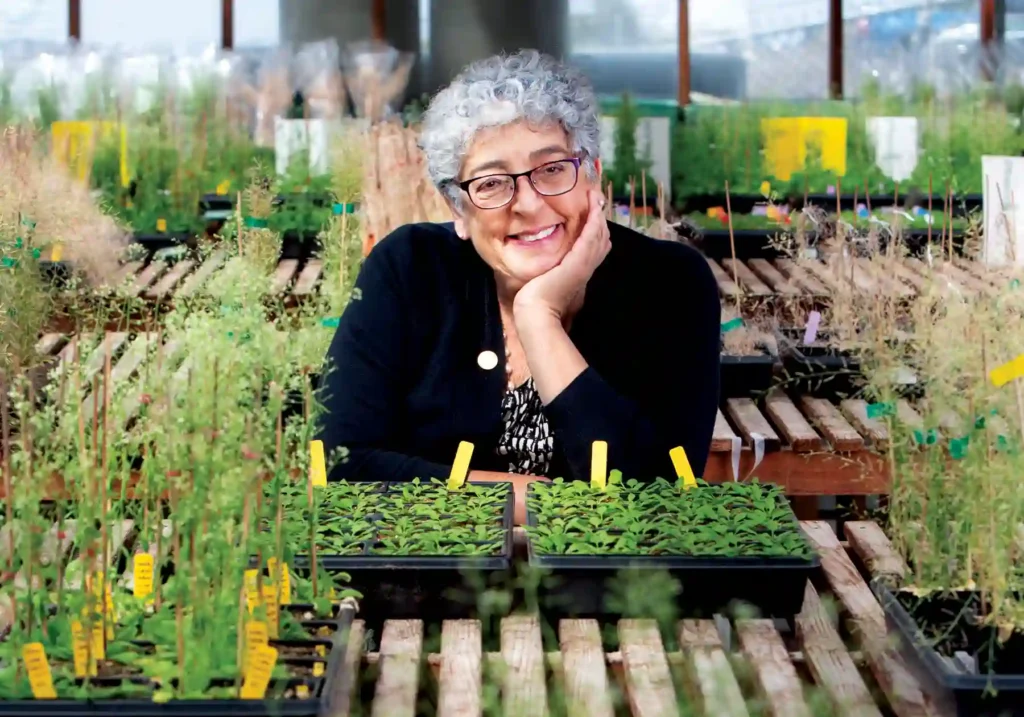 Joanne Chory an older lady with a grey perm and bright smile sits between rows of tabletop benches with assorted plants.
