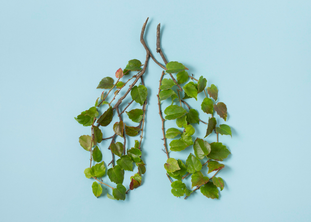 Tree leaves arranged like human lungs