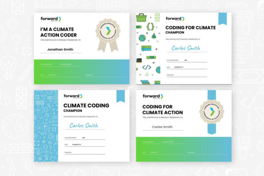 Preview of 4 coding certificates arranged in a 2 by 2 grid.