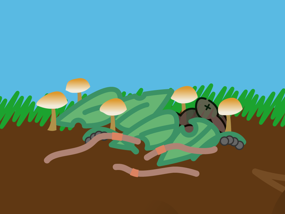 Close up of the decaying leaves and rabbit with fungi and worms.