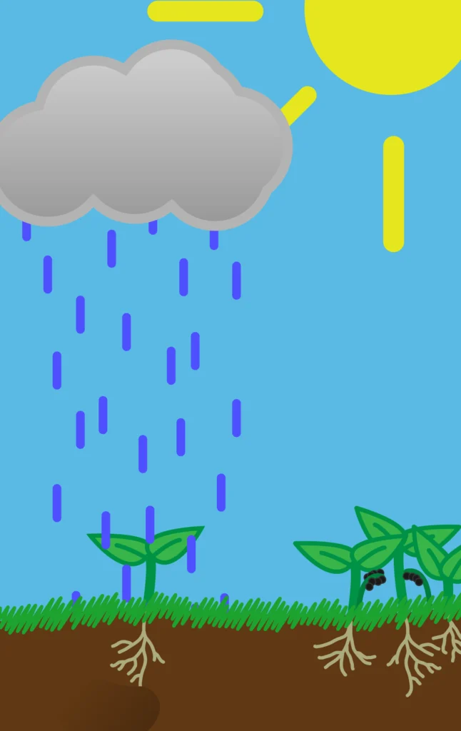 Close up of the plant being watered by the cloud.