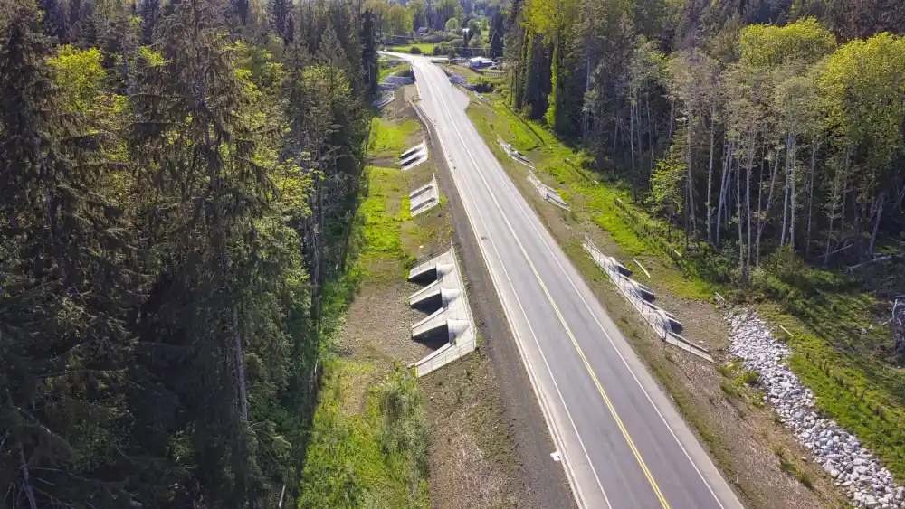 Aerial photo of a 2 lane highway with multiple large scale culverts passing beneath. There are dense forests on either side of the road.