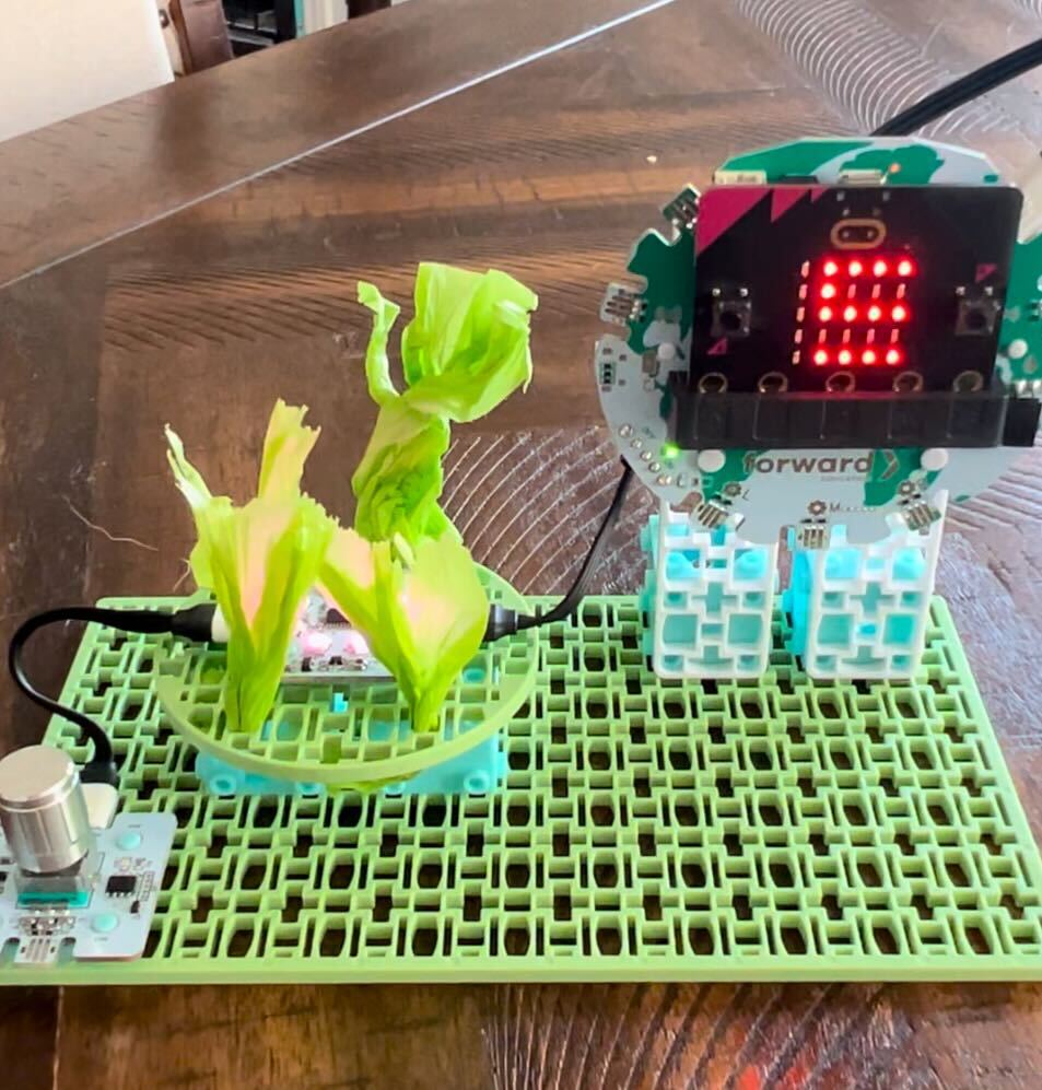 Real-world build of Forward Education's coral reef model. The build uses the kit's building blocks to create a platform for the LED light. Then, tissue paper is wrapped around the light to represent the reef. The pink of the light still shines through the tissue paper/coral.