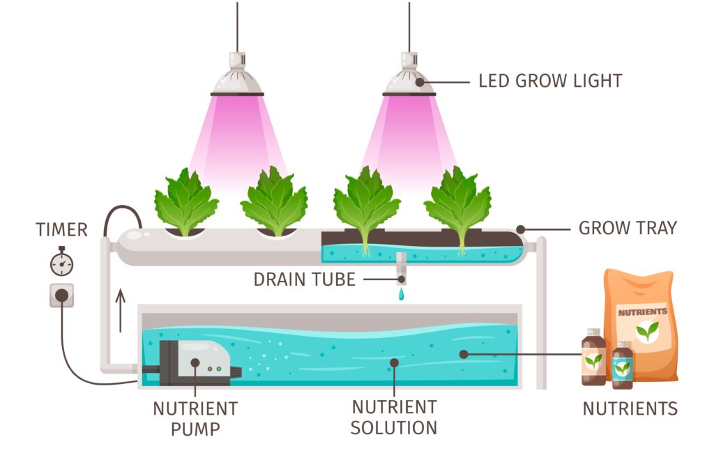 A diagram of a hydroponic farming setup showing plants growing in a grow tray under two LED grow lights. The plants' roots are submerged in a nutrient solution. A nutrient pump circulates the solution from a lower container back into the grow tray. A drain tube allows excess water to flow out of the tray. The system is automated by a timer that controls the lights and pump. Bottles and a bag labeled "nutrients" are shown, representing the nutrients added to the water for plant growth.
