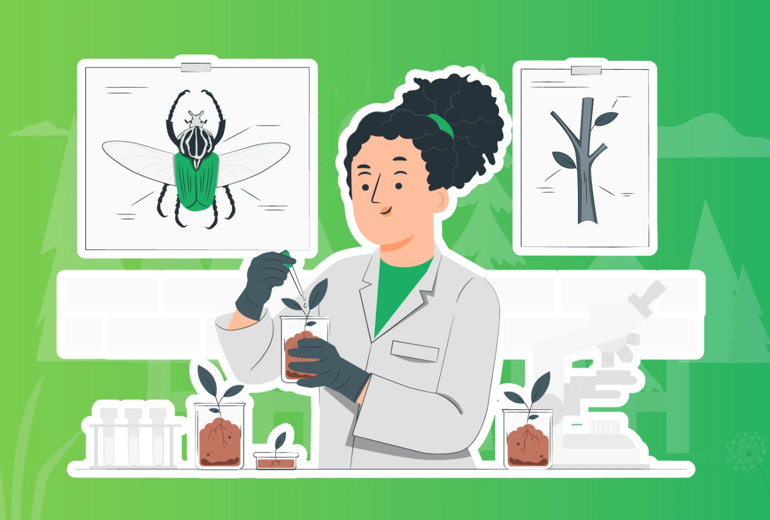 Digital graphic illustration of a scientist putting droplets into a beaker containing a plant. There are multiple plants in various sized beakers and posters behind that show generic diagrams of a tree branch and a beetle.