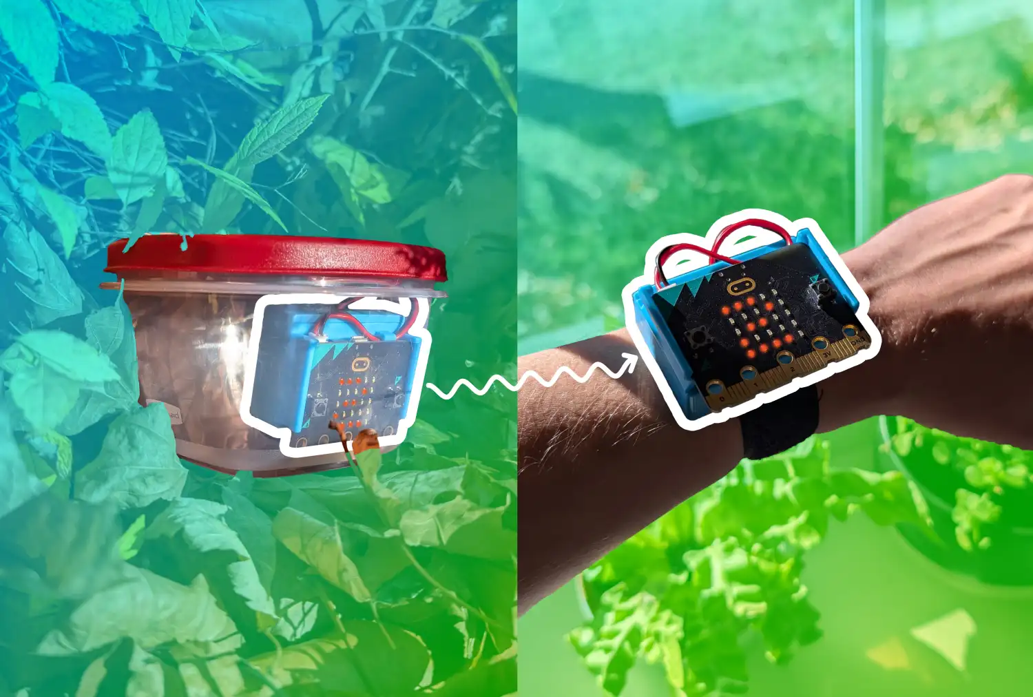 An image split in two, the right half is of a micro:bit and CHARGE power pack in a plastic container sitting in a pile of autumn leaves. The right half is of a micro:bit and CHARGE attached to an arm in front of a window. There is a white wavy line pointing between the outside container micro:bit and the inside attached micro:bit. A 2 is displayed on both micro:bit LEDs. A blue to green gradient is overlaid across the image behind the container and arm and the micro:bits which have a white boarder around them.