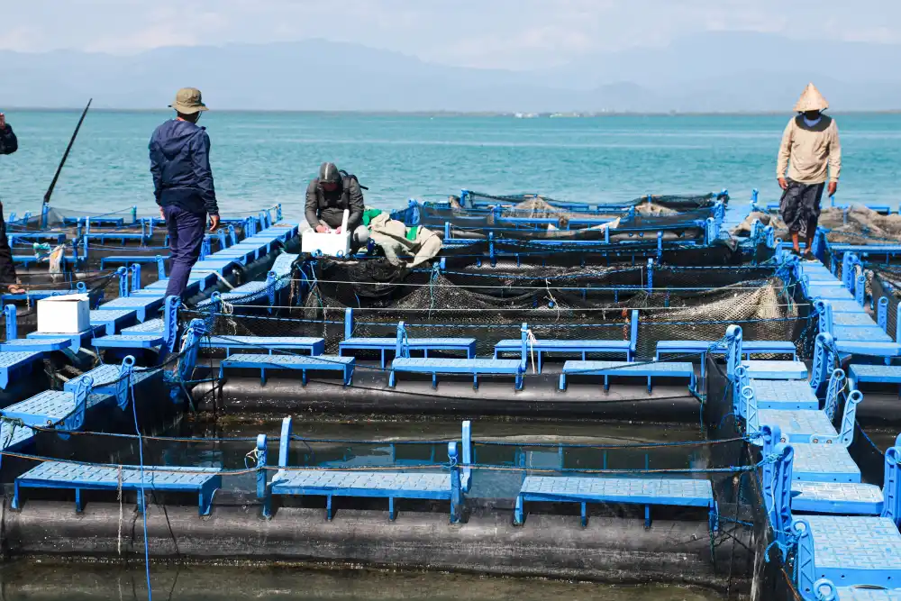 A number of scientist standing around a large blue grid shaped fish catching system.