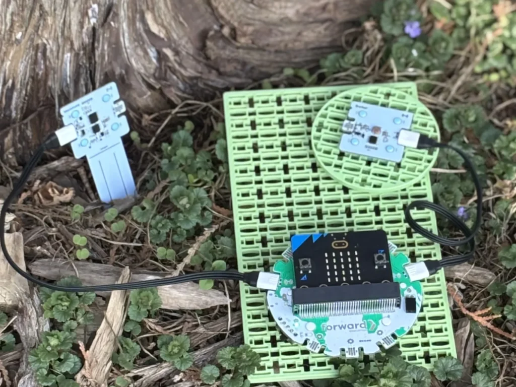 Forward Education's habitat monitoring project build in a field experiment in a forest