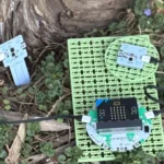 Forward Education's habitat monitoring project build in a field experiment in a forest