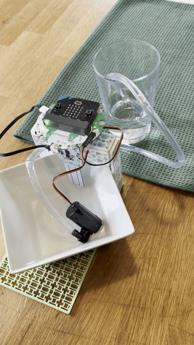 Forward Education's Sump Pump Project Build
