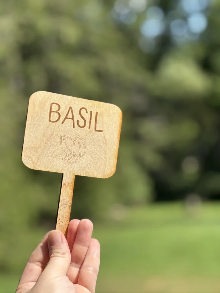 A hand in a field of green holding a plant stake laser cut out of wood. An icon of a basil leaf with the word basil is prominently displayed.