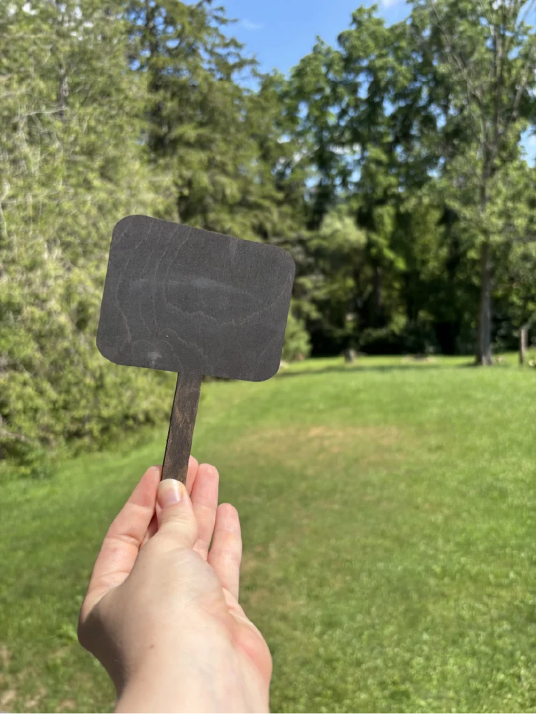 A hand in a field of green holding a painted plant stake for use with chalk.