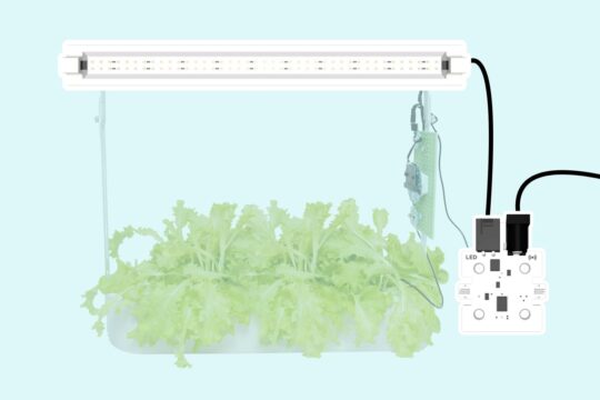 Thumbnail. Hydroponic lettuce setup with an overhead LED grow light. The light is connected to a white PCB board, which is controlling the power to the light. The image illustrates a tutorial on how to connect and automate an LED light.