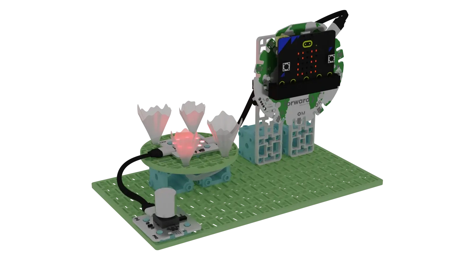 Forward Education's final coral reef model as a 3D model.