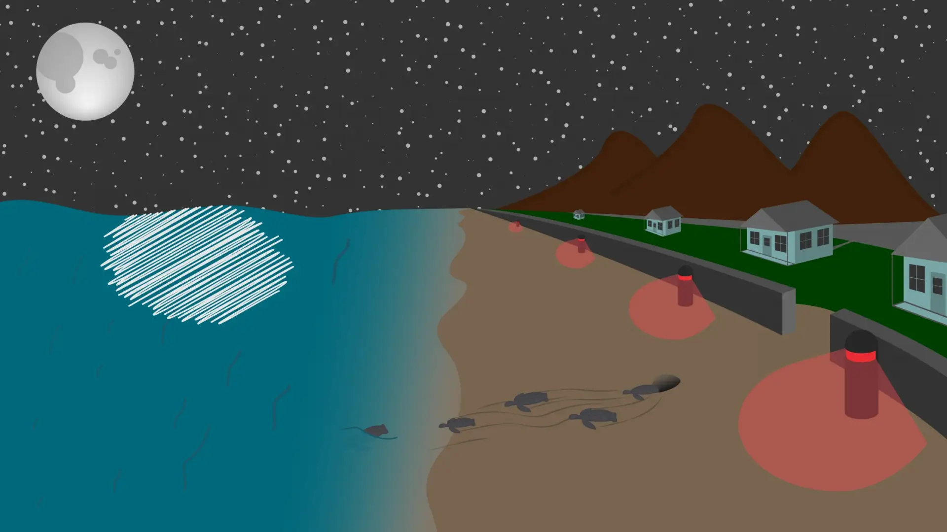 A cartoon of baby sea-turtles hatching on a beach with turtle-safe red lights. The turtles move toward the ocean
