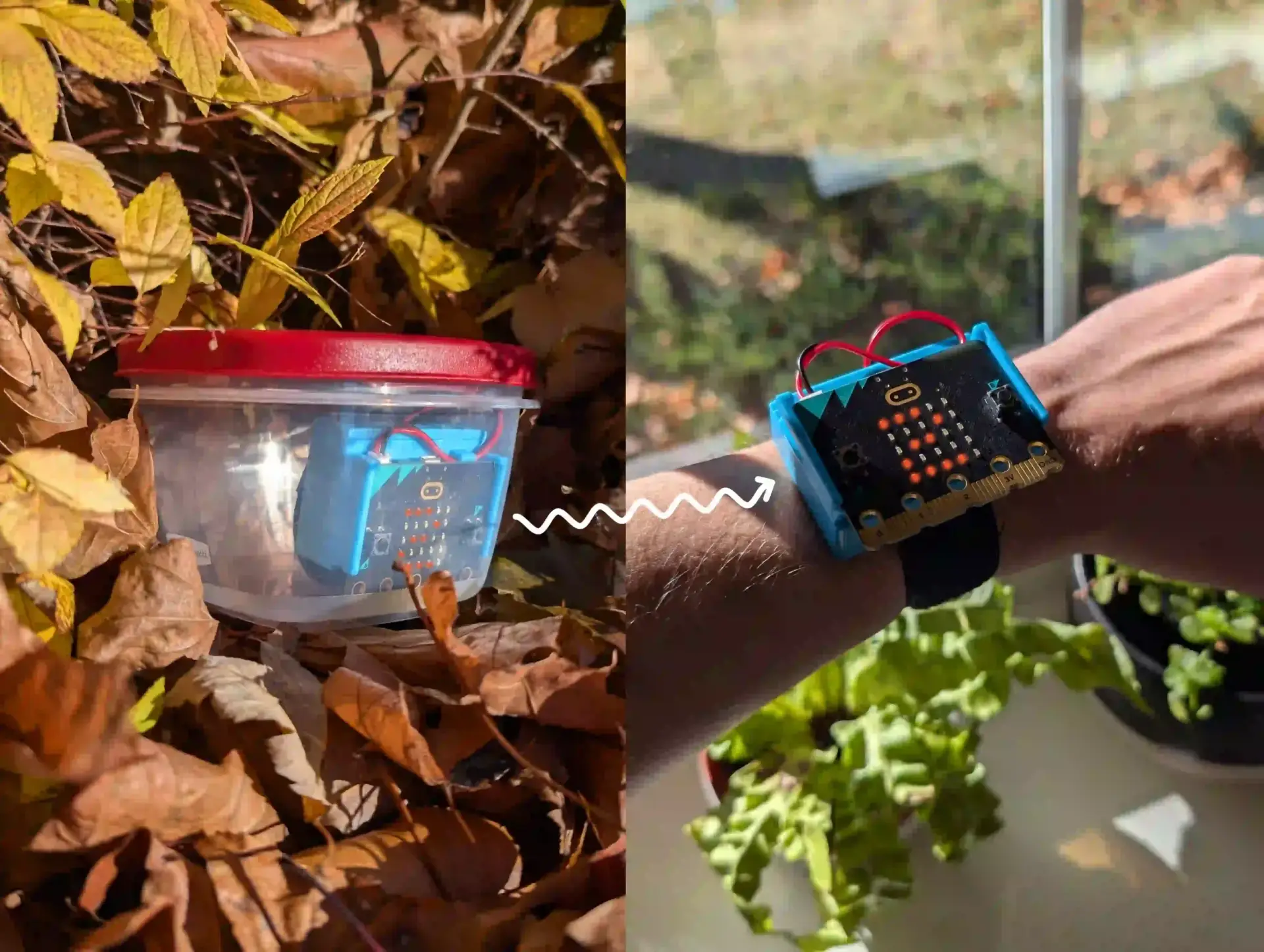 An image split in two, the right half is of a micro:bit and CHARGE power pack in a plastic container sitting in a pile of autumn leaves. The right half is of a micro:bit and CHARGE attached to an arm in front of a window. There is a white wavy line pointing between the outside container micro:bit and the inside attached micro:bit. A 2 is displayed on both micro:bit LEDs.